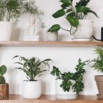 Transforme suas plantas em decoração viva com crochê artesanal