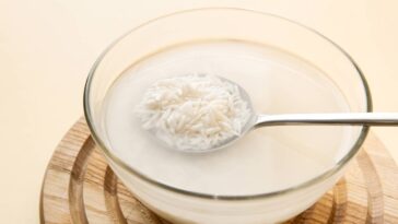 O segredo natural que fortalece limoeiros e evita pragas sem gastar nada