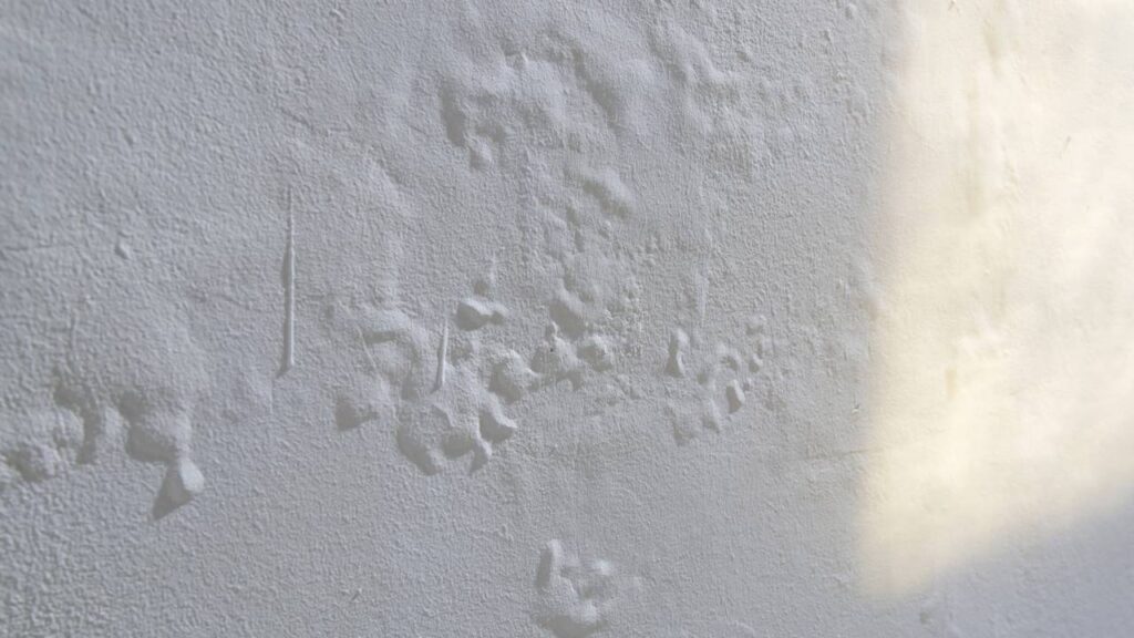 Como deixei minha parede limpa e protegida com um truque acessível que realmente funciona