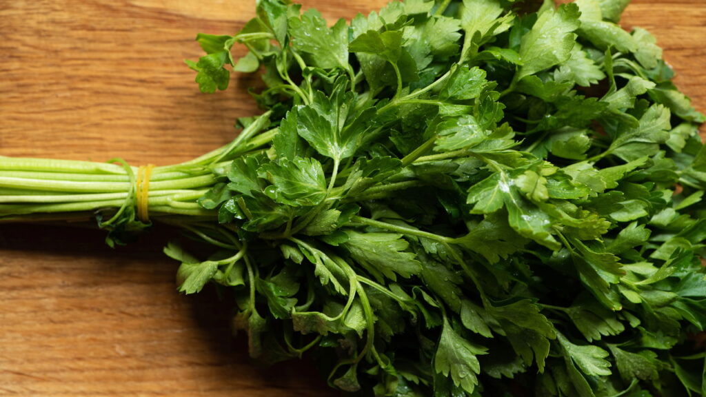 Como plantar salsa em casa de forma simples e eficiente