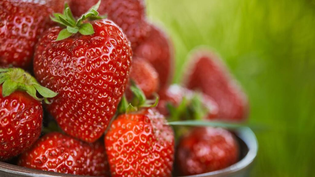 Como reaproveitar os cabinhos de morango para evitar desperdício e criar sabores incríveis