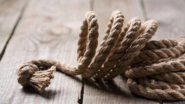 A técnica em crochê que fez esse cachepô virar o novo queridinho da decoração