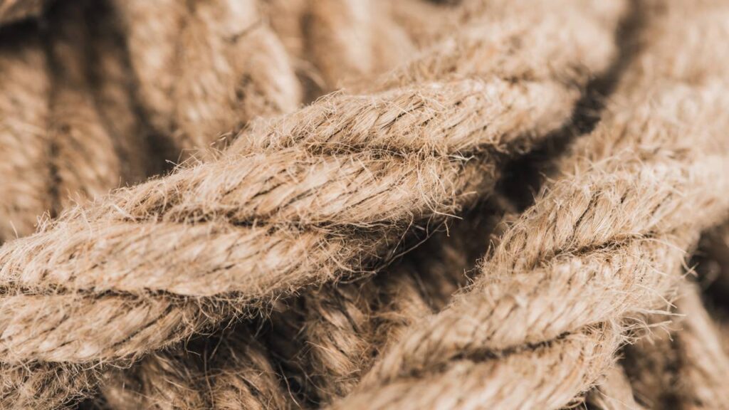 A técnica em crochê que fez esse cachepô virar o novo queridinho da decoração