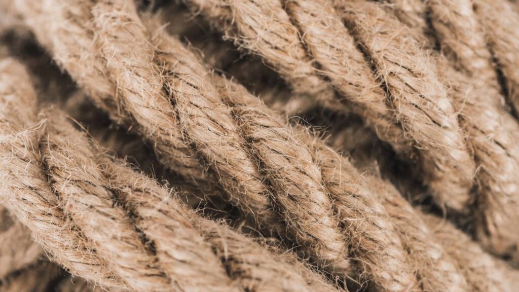 A técnica em crochê que fez esse cachepô virar o novo queridinho da decoração