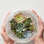 Cobertura para vaso de suculentas em crochê traz charme e cor à decoração