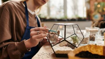 Jardins que cabem na palma da mão, conheça o encanto dos terrários