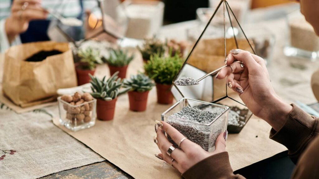 Jardins que cabem na palma da mão, conheça o encanto dos terrários