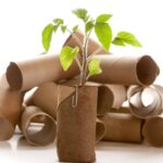 Descobri como economizar dinheiro utilizando rolos de papel e minha vida nunca mais foi a mesma