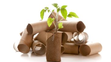 Descobri como economizar dinheiro utilizando rolos de papel e minha vida nunca mais foi a mesma