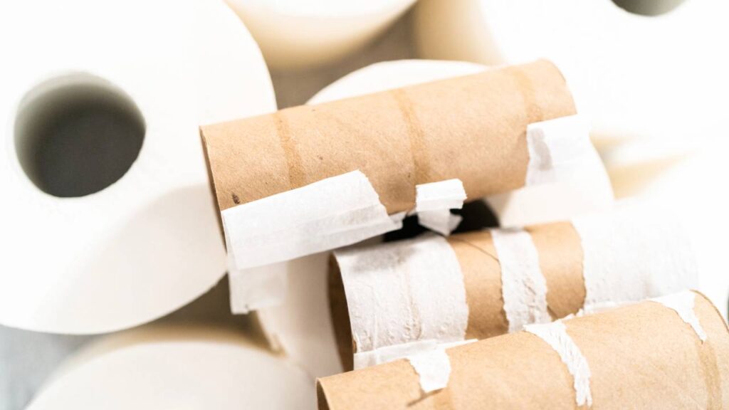 Descobri como economizar dinheiro utilizando rolos de papel e minha vida nunca mais foi a mesma