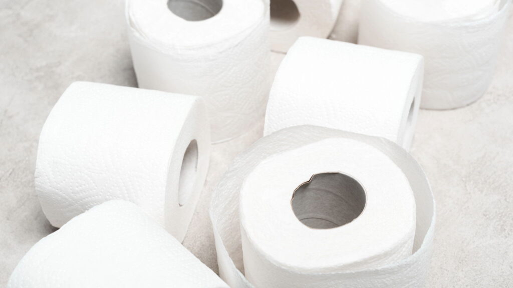 Por que colocar papel higiênico nas plantas do jardim pode ser útil