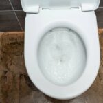 Misture sal com bicarbonato no vaso e veja o que acontece em minutos