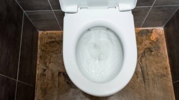 Misture sal com bicarbonato no vaso e veja o que acontece em minutos