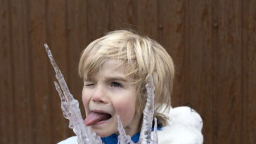 Por que a língua gruda no gelo e o que isso faz com seu corpo