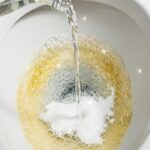 Esse método caseiro simples age no seu vaso sanitário enquanto você dorme e entrega um resultado surpreendente pela manhã.