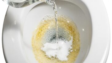 Esse método caseiro simples age no seu vaso sanitário enquanto você dorme e entrega um resultado surpreendente pela manhã.