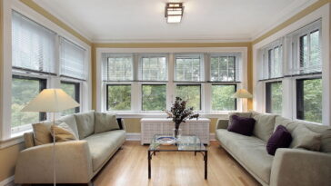 Por que esfregar meia cebola na janela é recomendado por especialistas