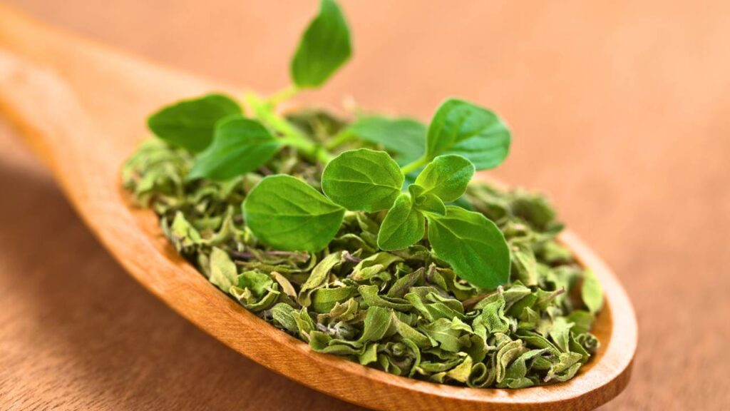 Deixe sua casa mais leve e perfumada com ingredientes simples