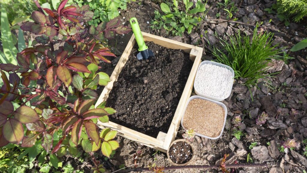 Esse adubo natural salvou minhas plantas e ainda afastou as pragas