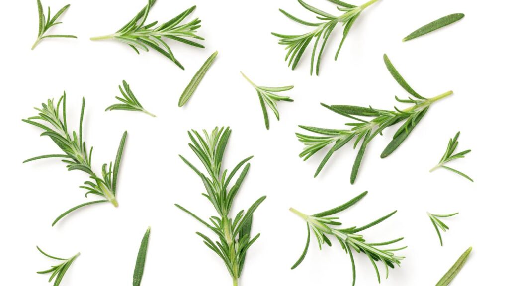 O que acontece quando você junta alecrim com limão em um pote vai te surpreender