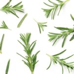 O que acontece quando você junta alecrim com limão em um pote vai te surpreender