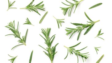 O que acontece quando você junta alecrim com limão em um pote vai te surpreender