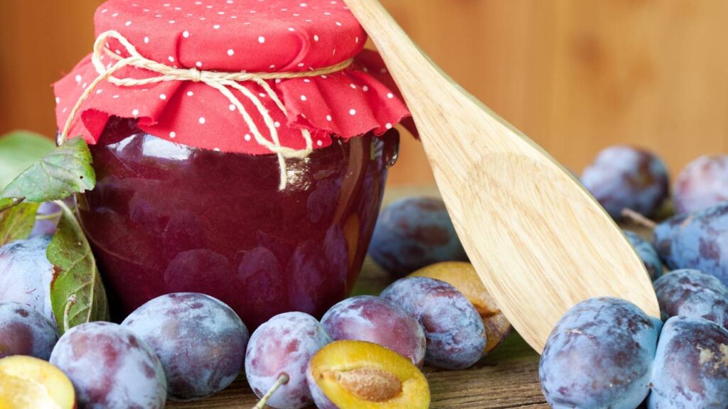 Transforme seu quintal com essa árvore que dá frutos doces e sombra fresca