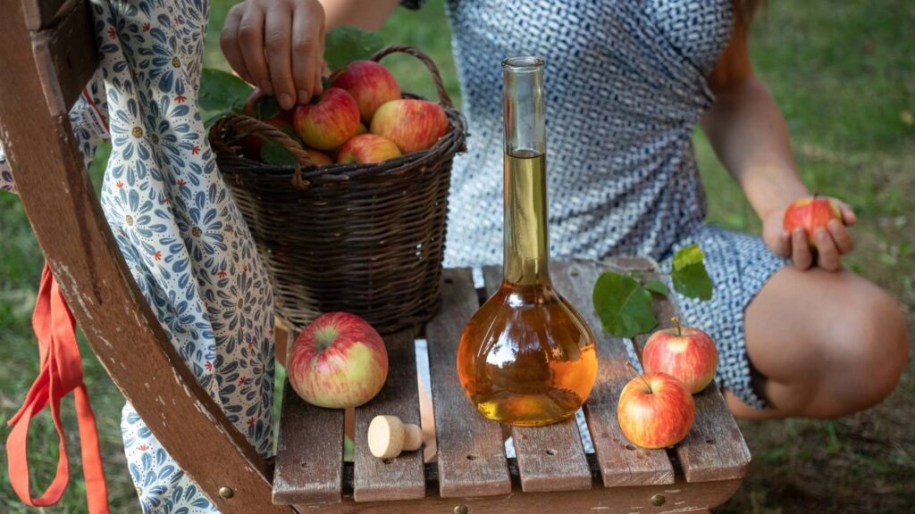 O truque mais usado pelas donas de casa para se livrar dos mosquitinhos da pia