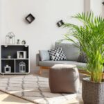 Coloquei essas plantas no quarto dos meus filhos e vi a respiração deles melhorar durante a noite