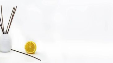 Essa dupla simples está deixando os ambientes mais secos e cheirosos