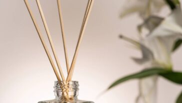 Deixe sua cozinha perfumada e acolhedora com esse truque natural