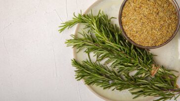 Essa mistura natural está bombando entre quem busca um lar mais equilibrado