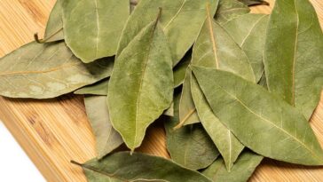 Esse ritual com louro e arroz está atraindo quem acredita em sorte