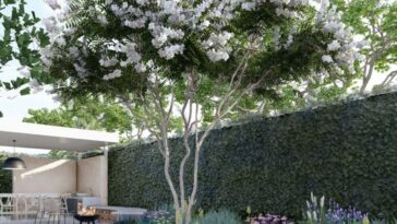 Saiba quais são as espécies de árvores que fazem sombra, embelezam e não sujam o seus jardim e calçada / Foto: (Fonte/Pinterest)