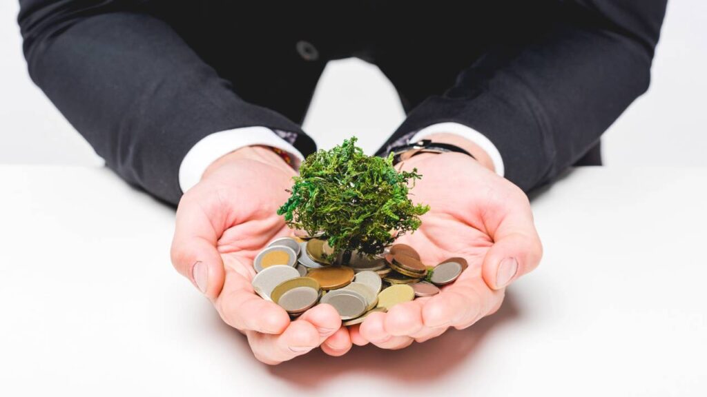 A famosa “árvore do dinheiro”: será que ela traz mesmo boas energias? - Créditos: depositphotos.com / HayDmitriy