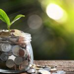 Árvore do dinheiro: descubra por que tanta gente tem essa plantinha em casa - Créditos: depositphotos.com / amenic181