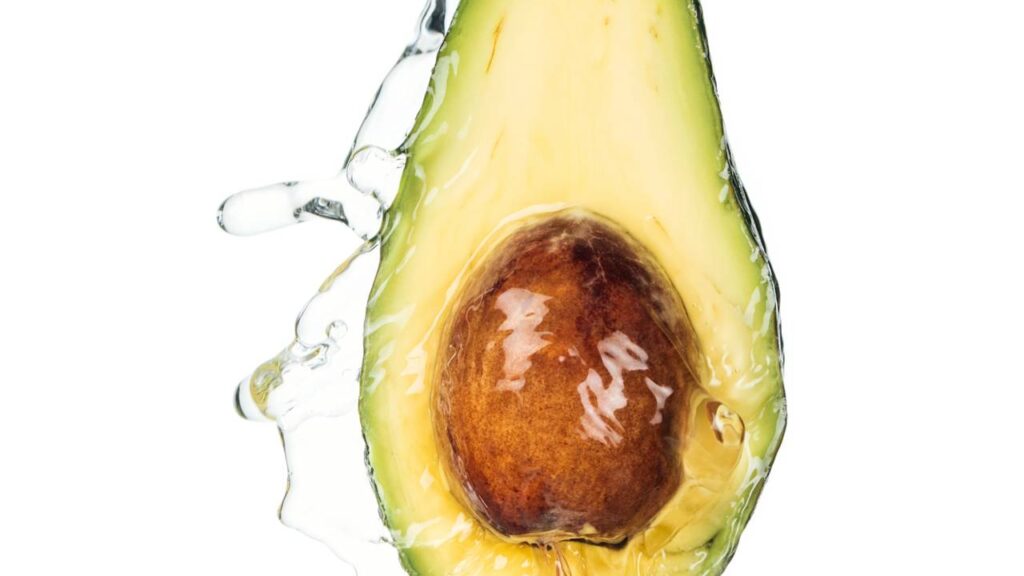 A maneira mais eficiente de plantar abacate em casa com sucesso a partir da semente