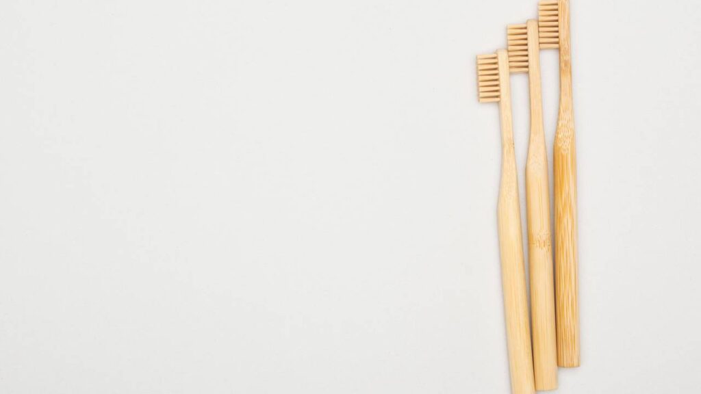 Essa ideia simples salvou minha muda de jasmim e pode salvar a sua também