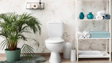 Adeus tapetes comuns! Esse item pode estar acumulando mais sujeira do que você imagina