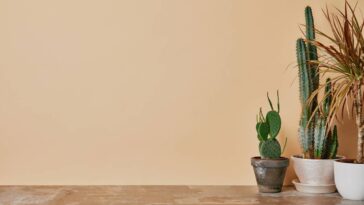 Adeus paredes sem graça! Essa nova cor está conquistando os projetos de cozinha no Brasil inteiro