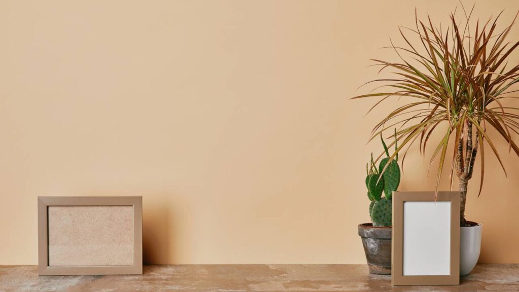 Adeus paredes sem graça! Essa nova cor está conquistando os projetos de cozinha no Brasil inteiro