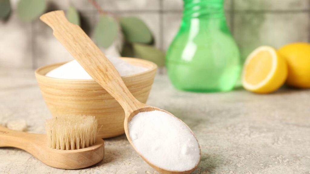 Quem ama plantas vai se surpreender com esse truque contra pragas