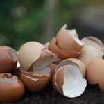 Essa água que você joga fora pode salvar suas plantas sem gastar nada