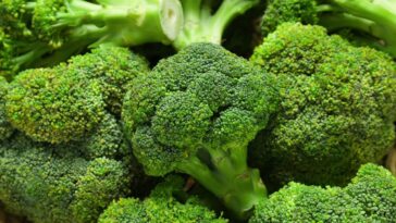 Como preparar o brócolis corretamente para que não perca seus nutrientes segundo especialistas