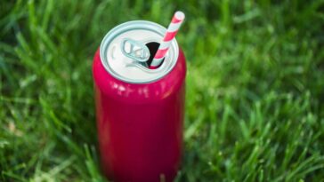 O que essas latas fizeram no meu jardim deixou os vizinhos impressionados