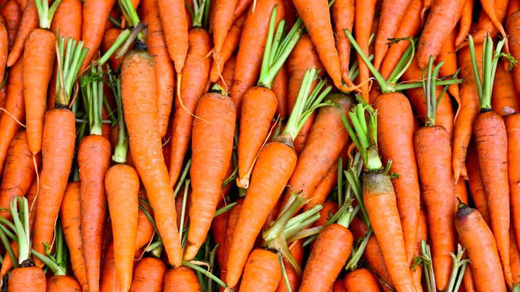 Amigurumi de cenoura com folhagem texturizada para decorar