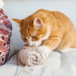 Crochê decorativo para pets que une conforto e beleza ao ambiente