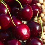 Esse caroço que você joga fora pode virar árvore ou enfeite, veja como fazer o seu