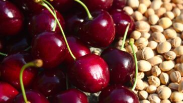 Esse caroço que você joga fora pode virar árvore ou enfeite, veja como fazer o seu