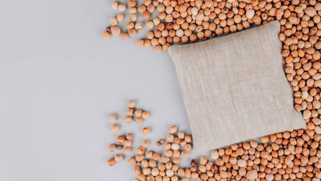 Esse caroço que você joga fora pode virar árvore ou enfeite, veja como fazer o seu